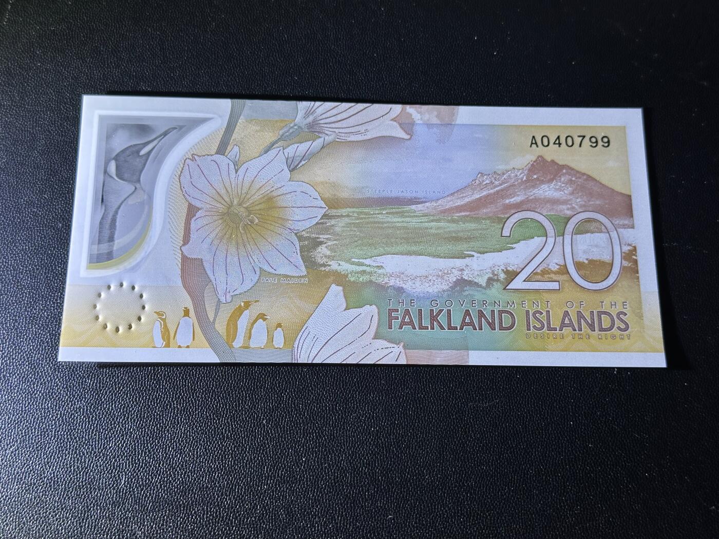 《外钞收藏家》第六百零九期（农历年前收官场、本期年后快递恢复正常再发货）（本平台长期征集拍品、欢迎藏友们联系合作） 2025年福克兰群岛20元 全新UNC A冠