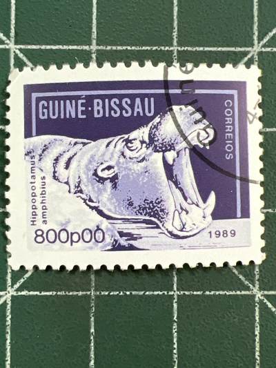 第1122  邮票专场 （无押金，捡漏，全场50包邮，偏远地区除外，接收代拍业务，本店十天发一次货） - 这