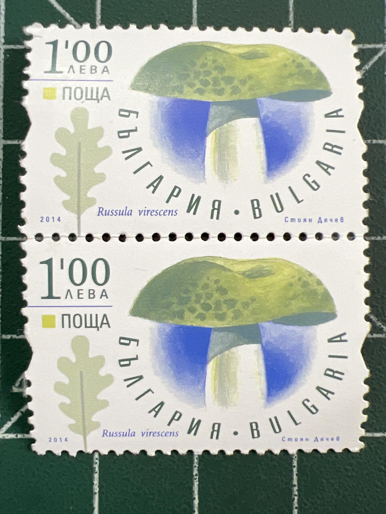 第1122  邮票专场 （无押金，捡漏，全场50包邮，偏远地区除外，接收代拍业务，本店十天发一次货）