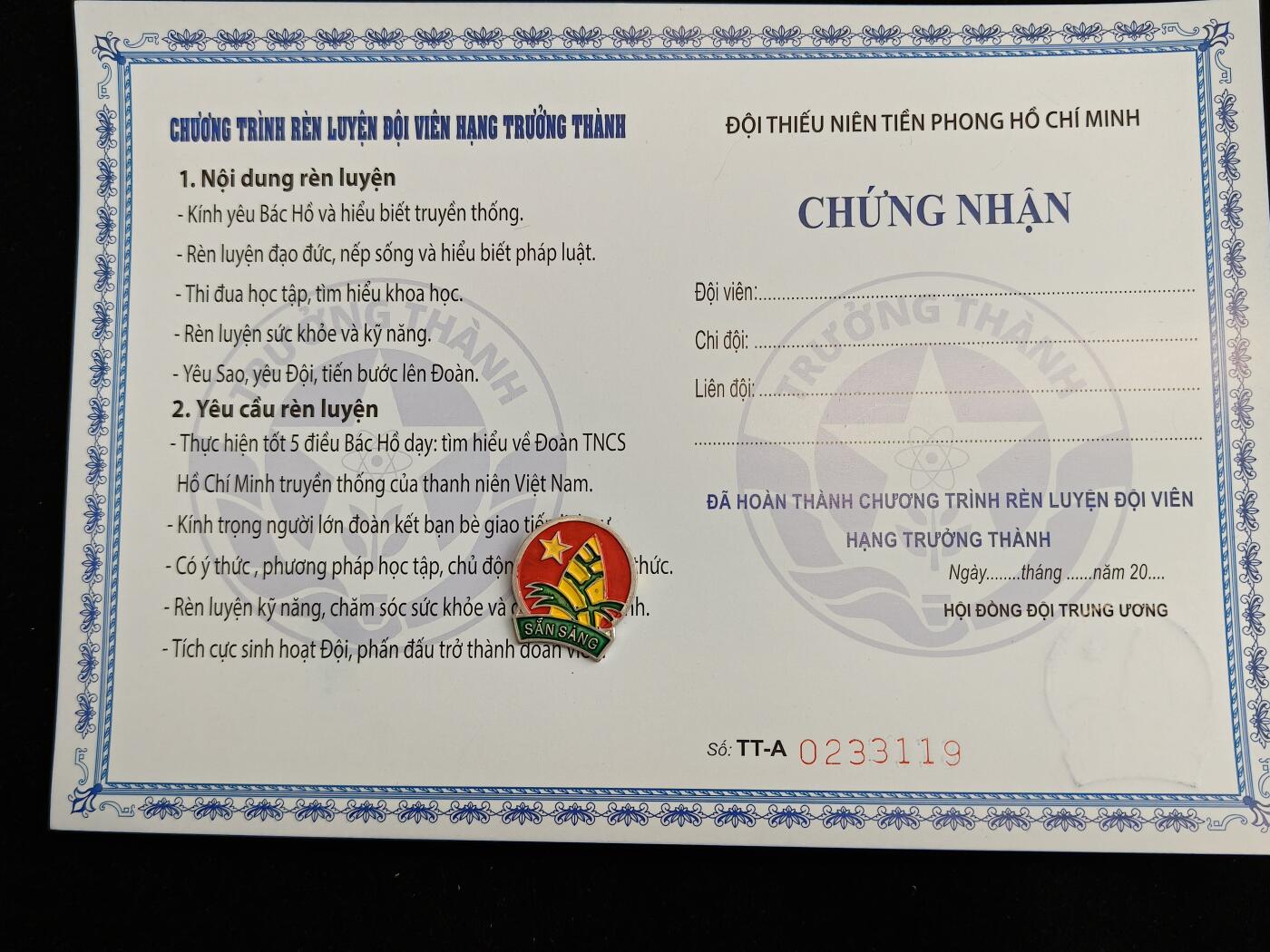 2026新年第一场  越南胡志明少年先锋队证章 带证