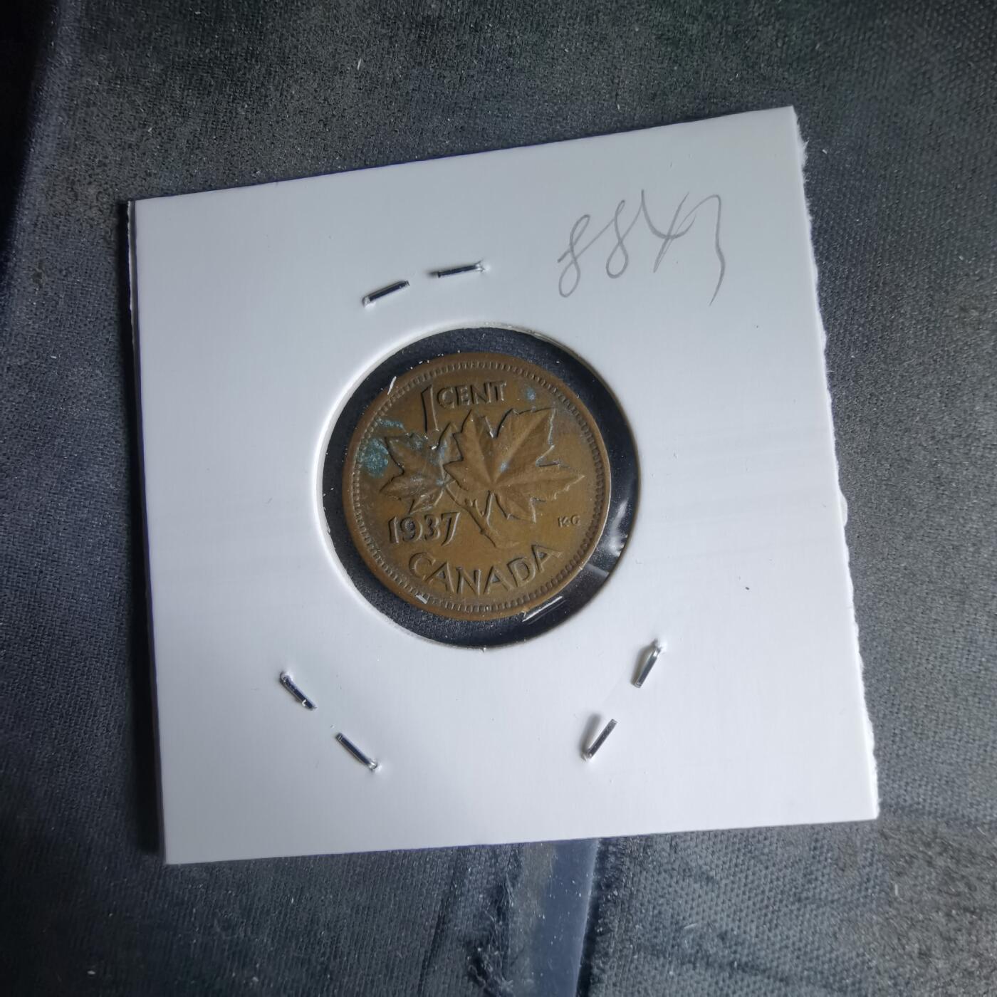 沼泽如烟--第988场