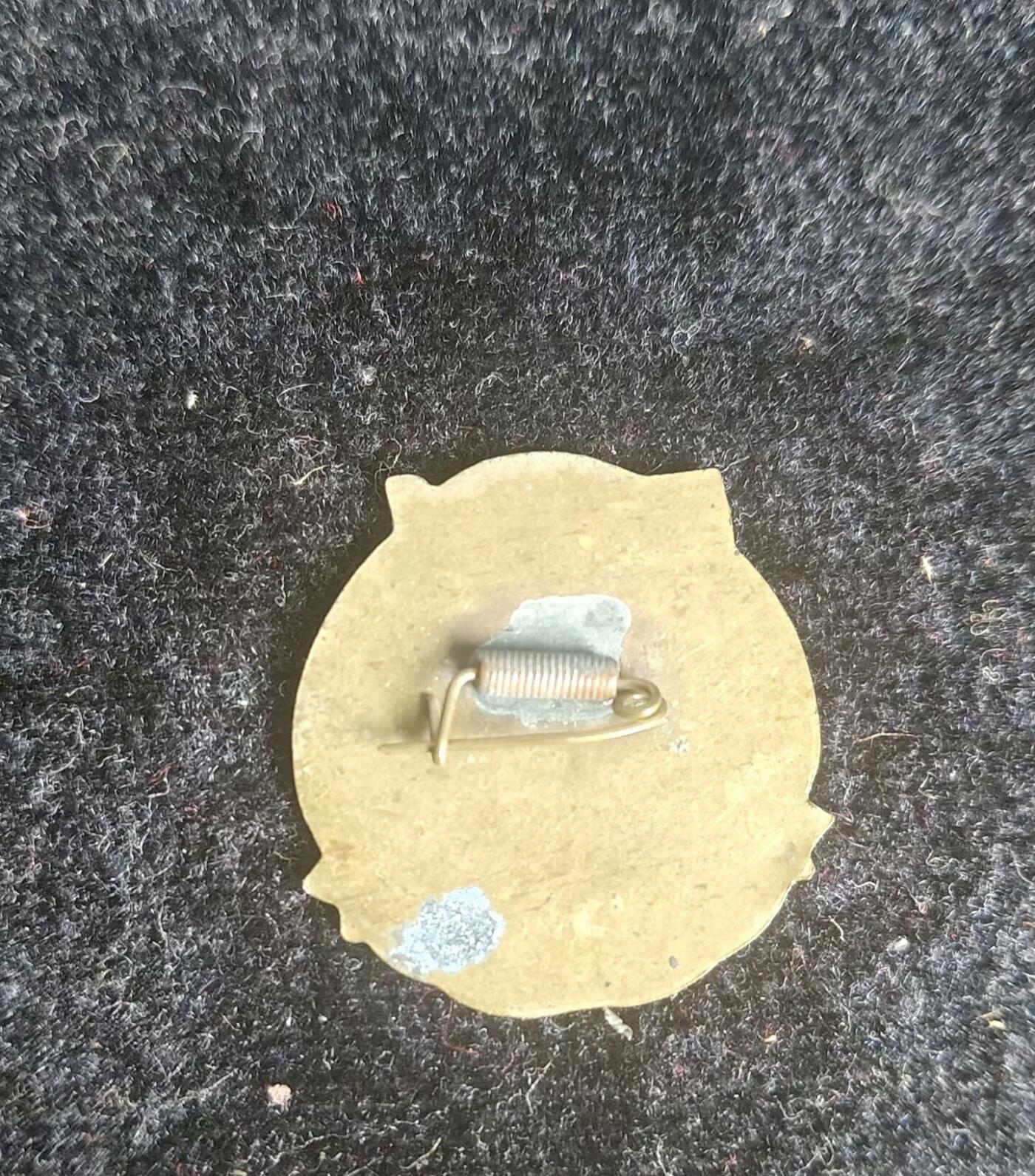 1950年中国人民的胜利献映纪念章