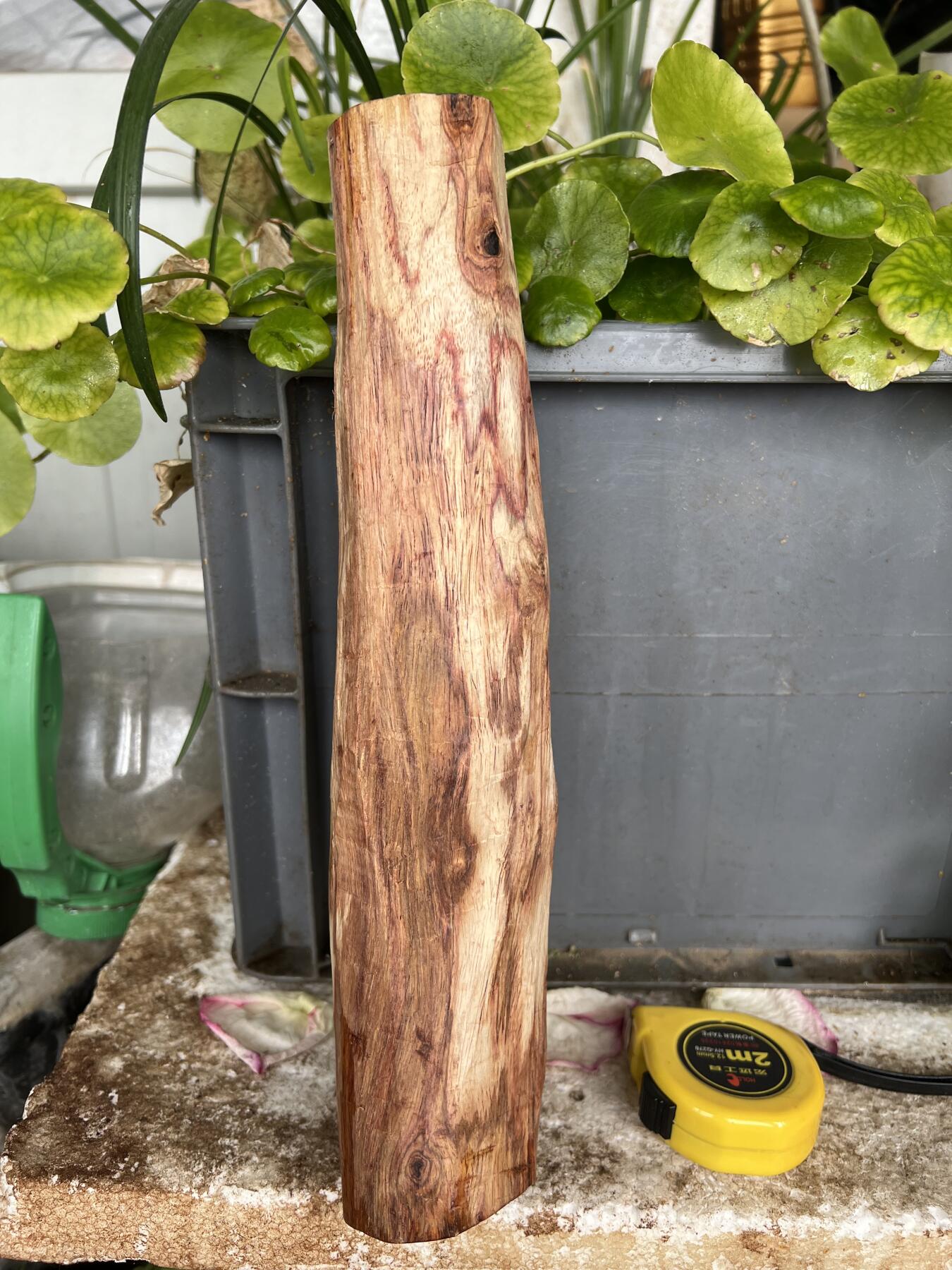 零元拍：NO.35-10海南黄花梨珠子把件料，外面白皮基本都去掉了，红肉打底花纹很漂亮。275/45/50MM