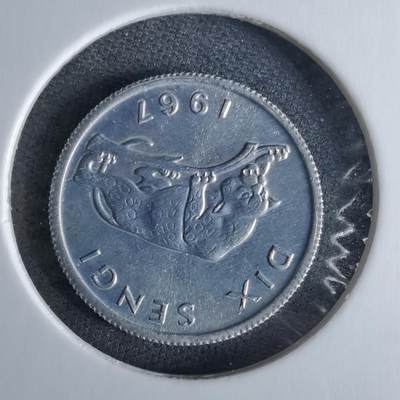 沼泽如烟--第989场 - 刚果1967年十分