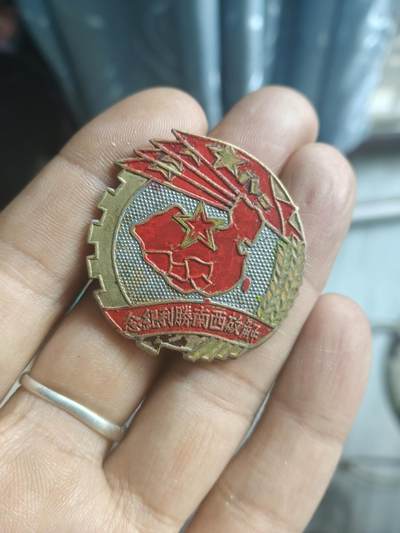 解放西南纪念章 - 解放西南纪念章