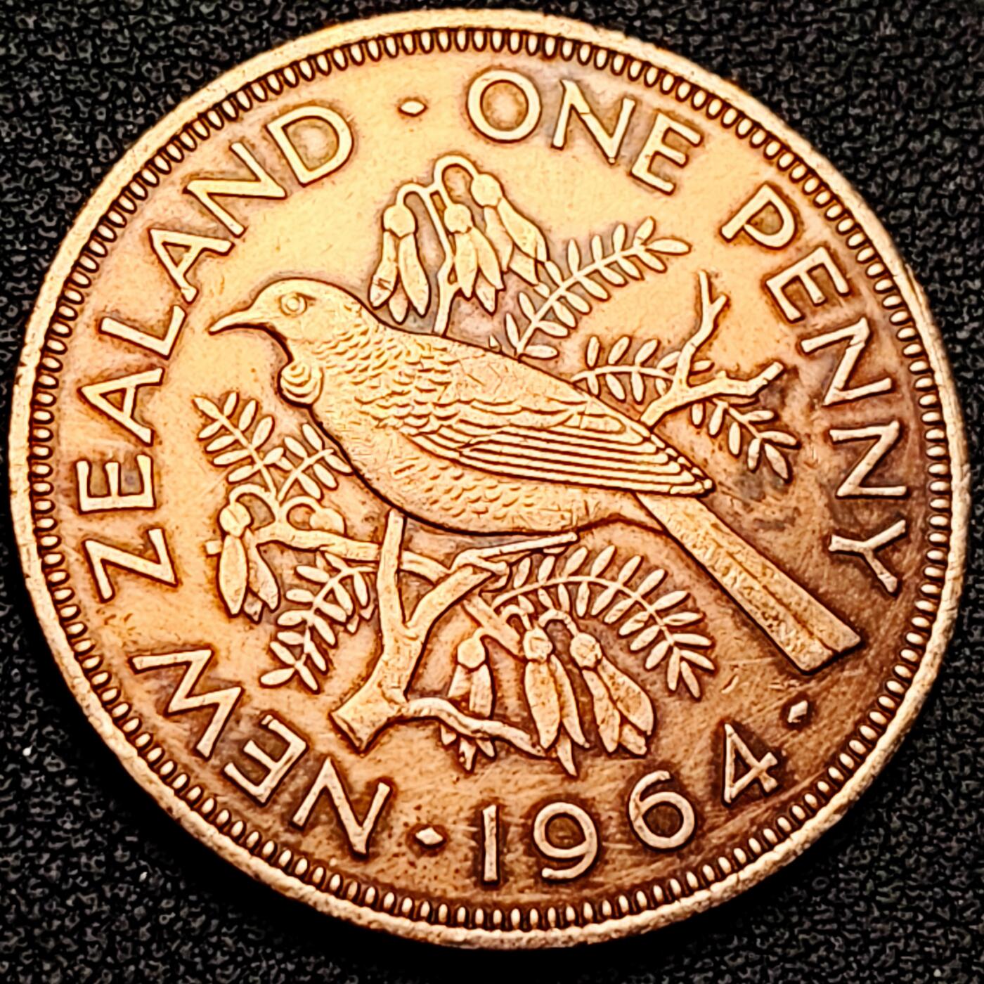 泉币菌-第182场- 精品福利场 。