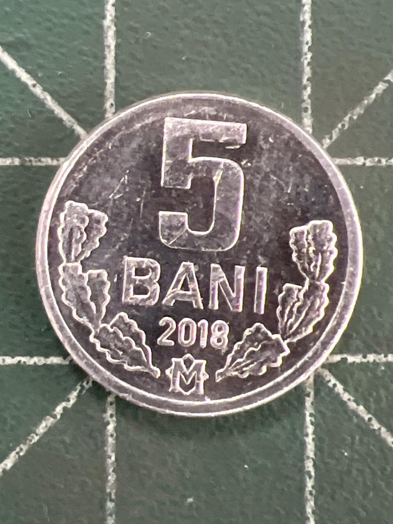 第1116  硬币专场 （无押金，捡漏，全场50包邮，偏远地区除外，接收代拍业务，本店十天发一次货） 摩尔多瓦5巴尼