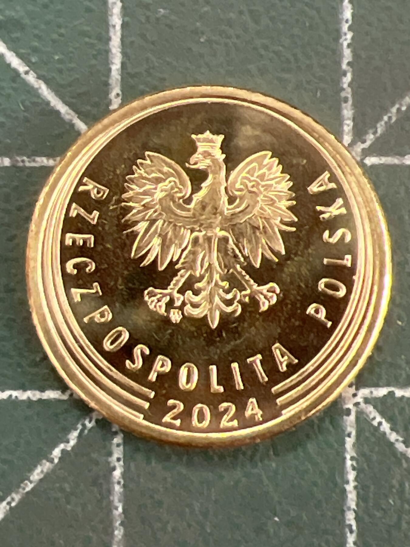 第1116  硬币专场 （无押金，捡漏，全场50包邮，偏远地区除外，接收代拍业务，本店十天发一次货） 波兰 1 兹罗提