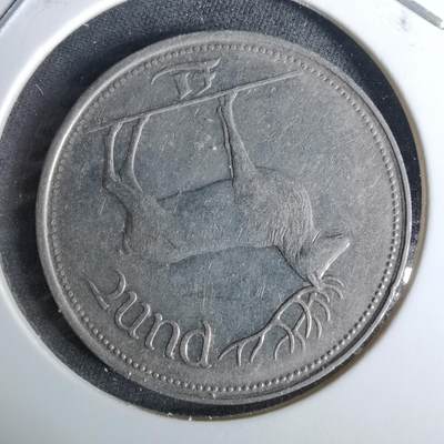 沼泽如烟--第989场 - 爱尔兰1990年1磅