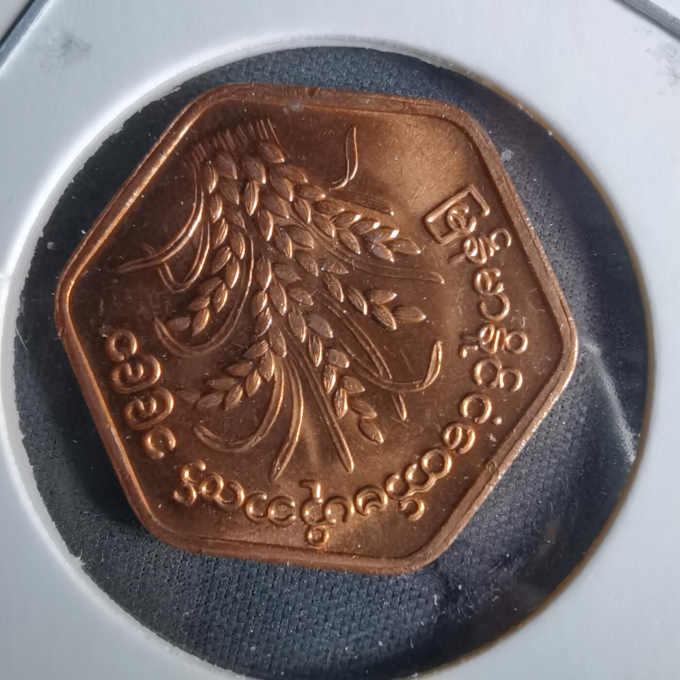 沼泽如烟--第989场 缅甸