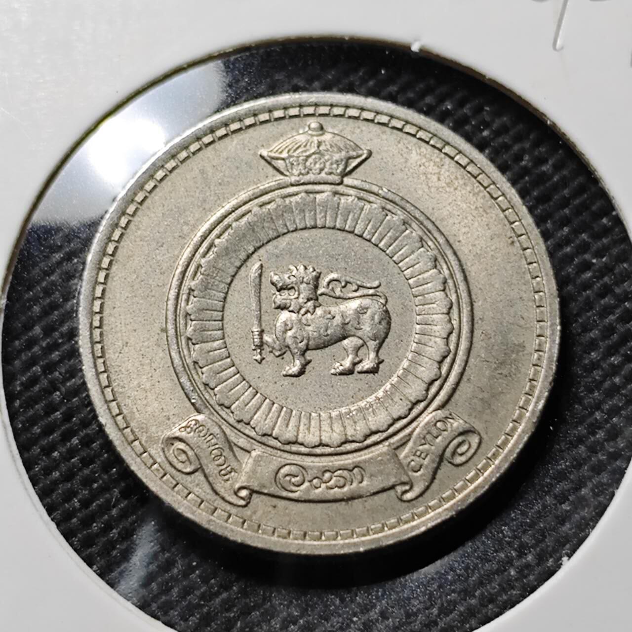 KK钱币收藏小铺  第394期  2月预留时间 周末发货