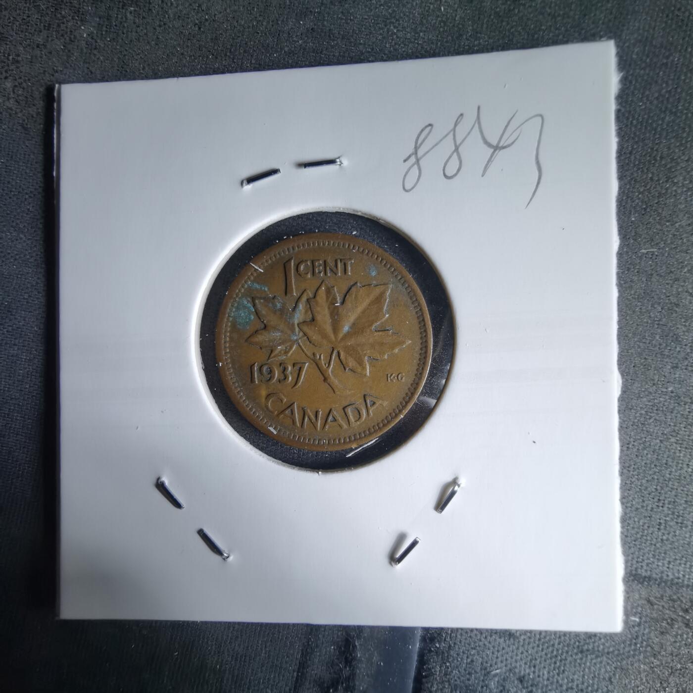 沼泽如烟--第988场