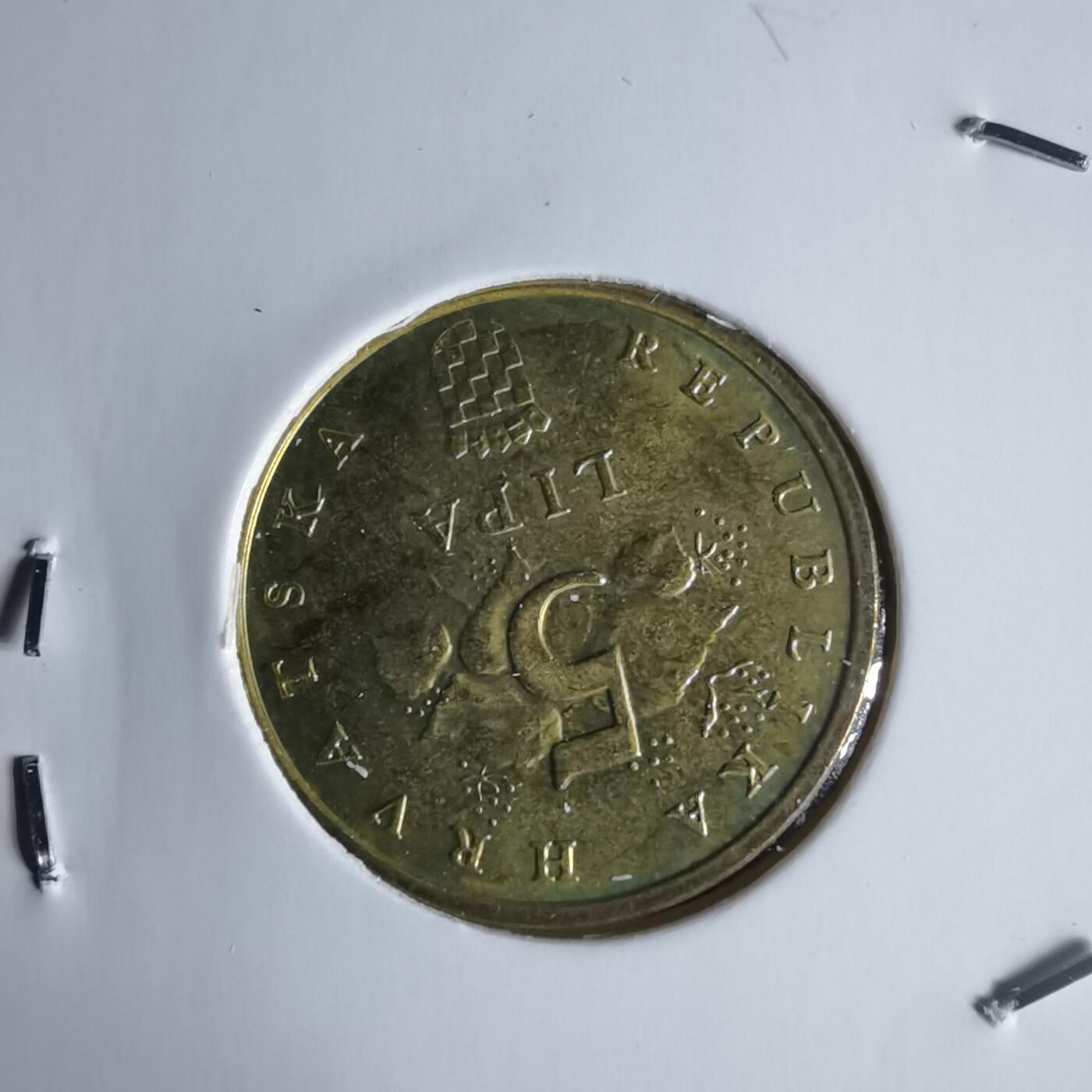 沼泽如烟--第988场