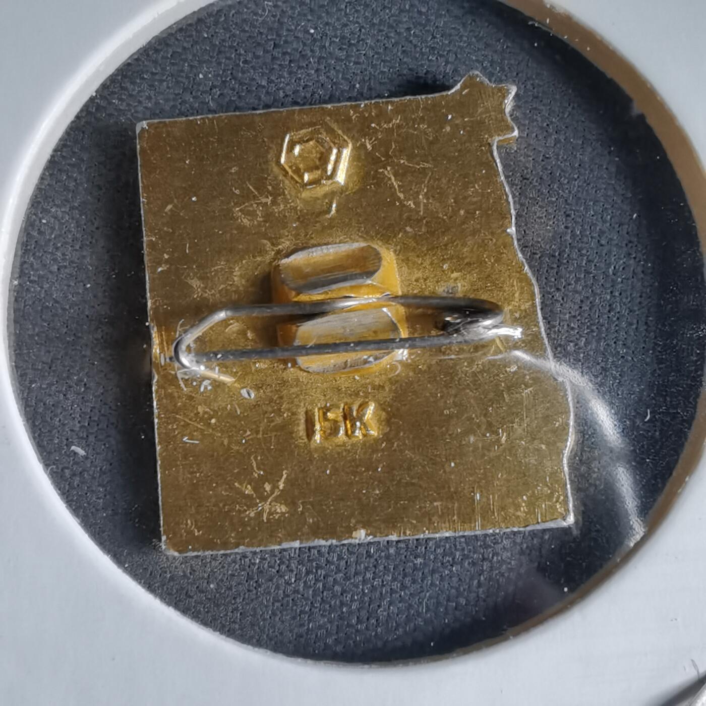 沼泽如烟--第989场 胸章一枚