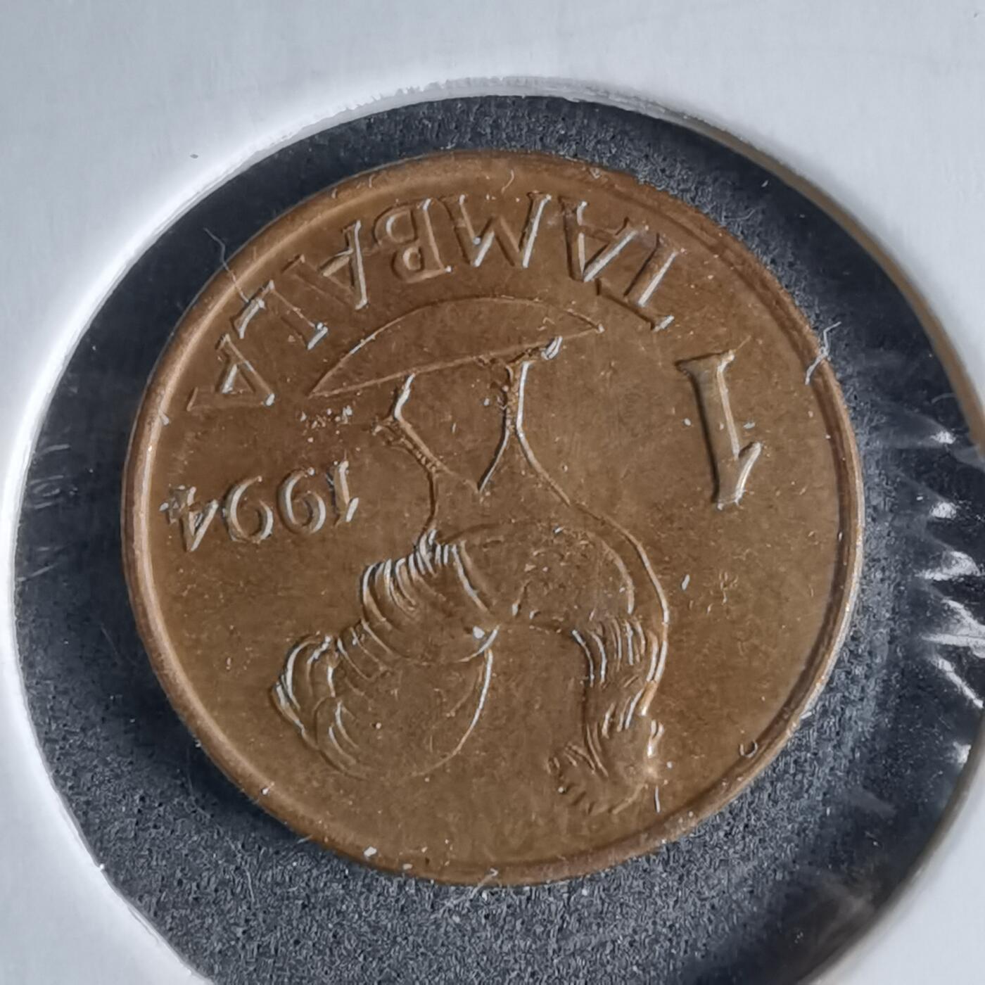 沼泽如烟--第989场 马拉维1994年1坦巴拉