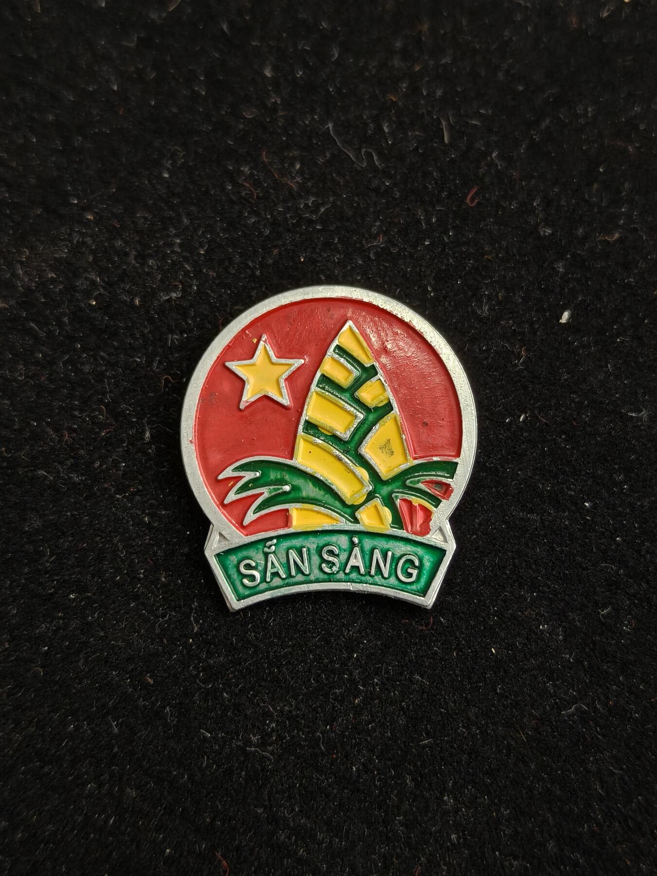 2026新年第一场  越南胡志明少年先锋队证章