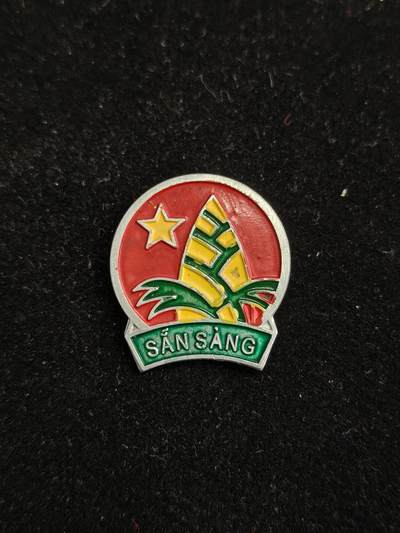 2026新年第一场  - 越南胡志明少年先锋队证章