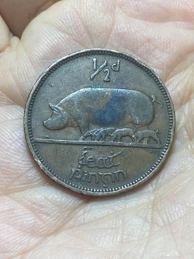 2026年第二十场(总第一百八十九场）外国好品散币场(免佣金) - 爱尔兰🇮🇪1942年1/2便士(共和国时期第一套)