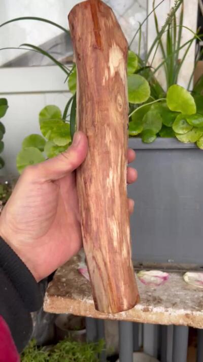 零元拍：NO.35-10海南黄花梨珠子把件料，外面白皮基本都去掉了，红肉打底花纹很漂亮。275/45/50MM