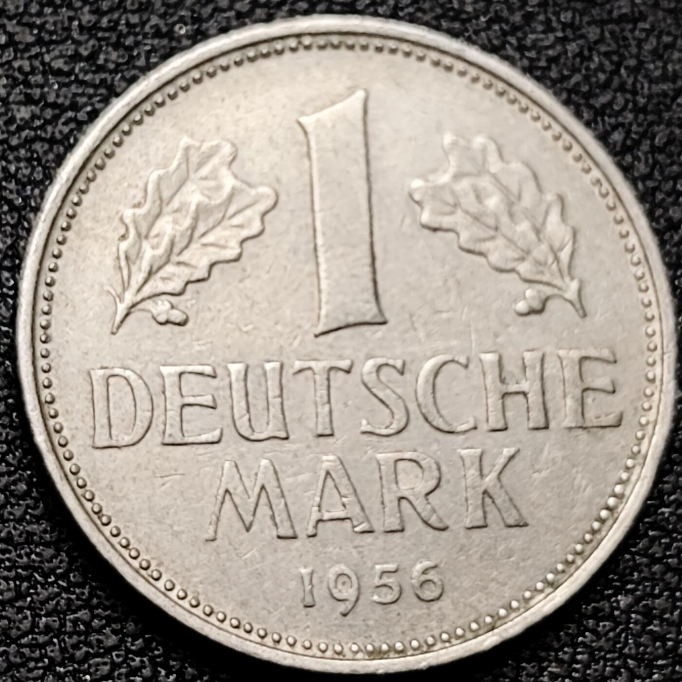 泉币菌-第182场- 精品福利场 。