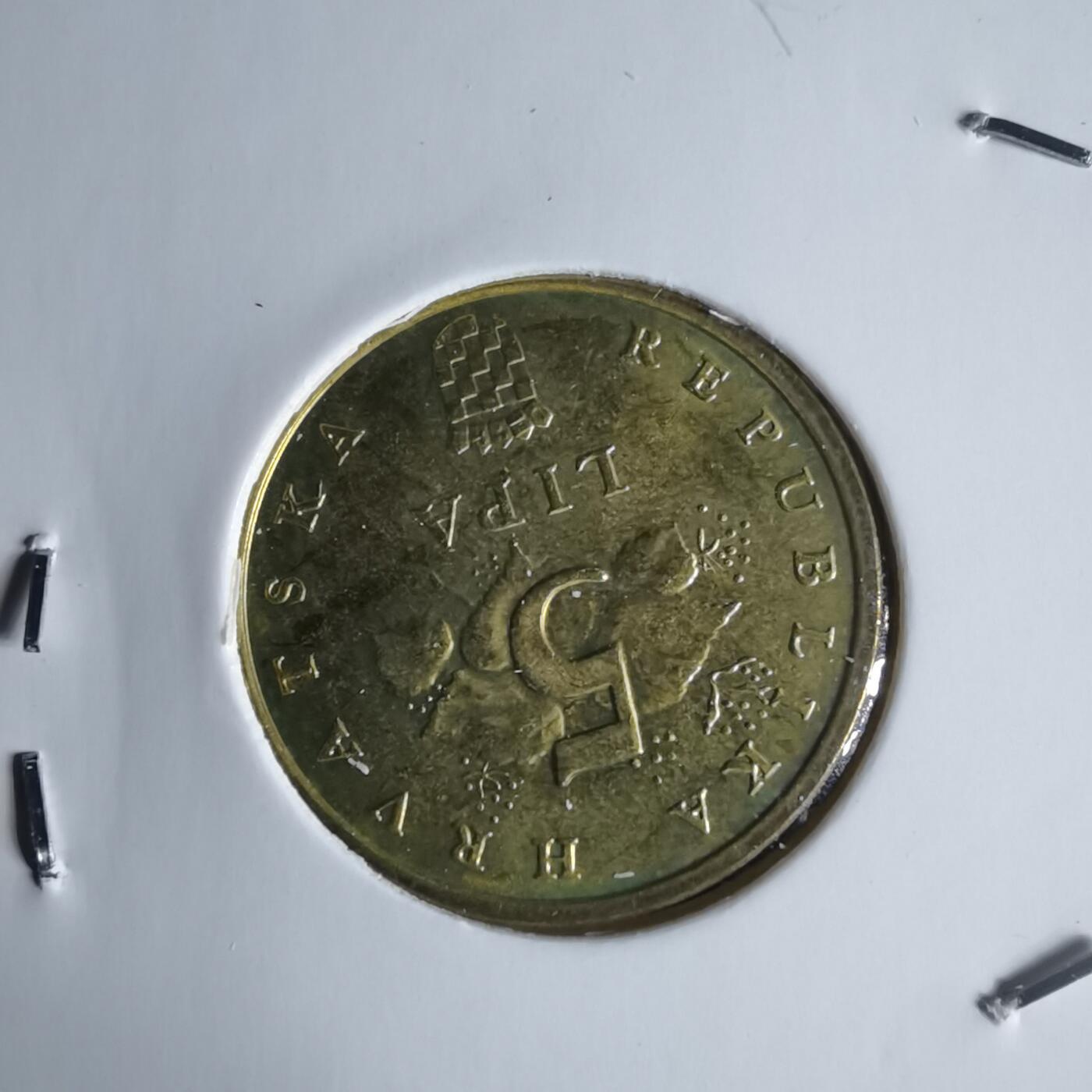 沼泽如烟--第988场