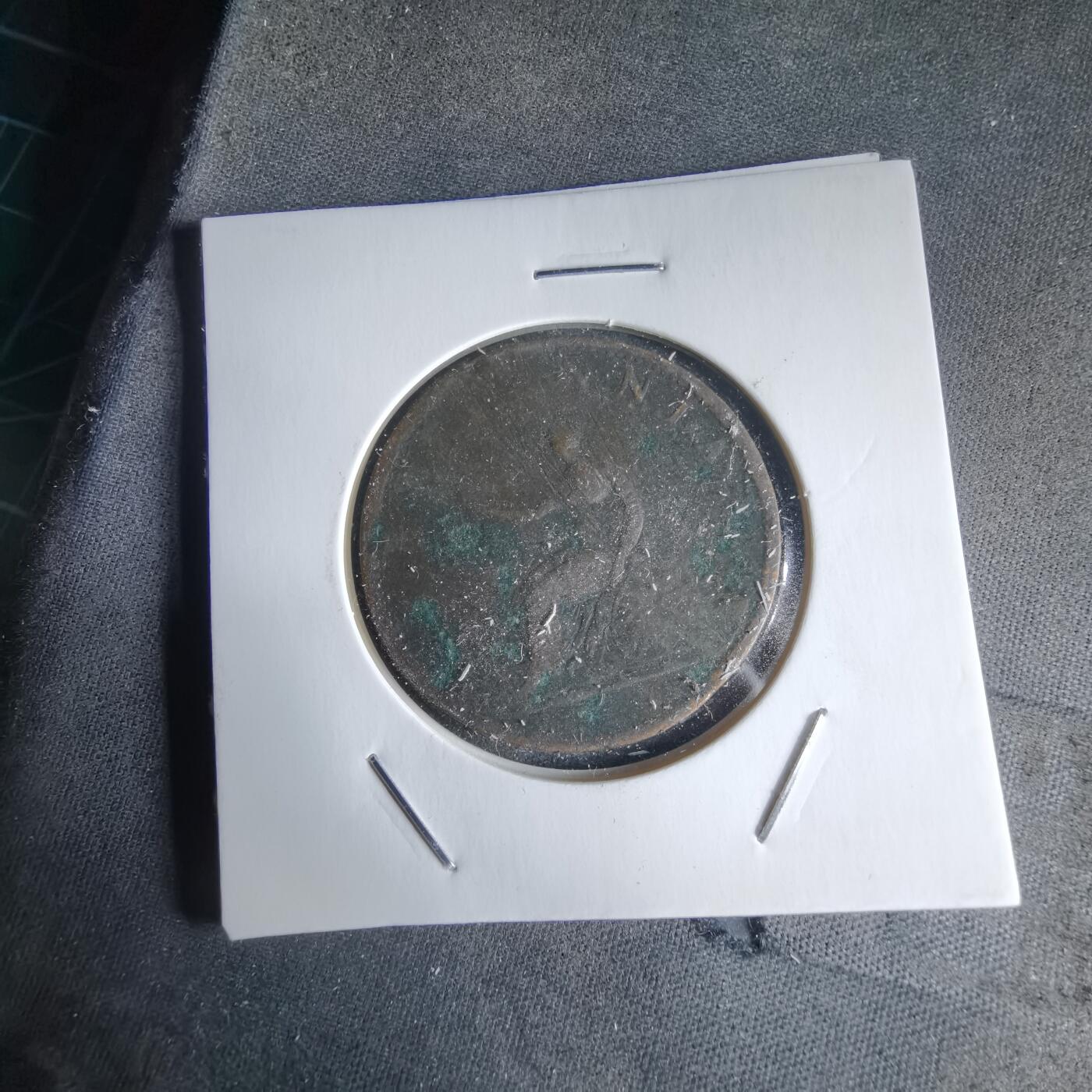 沼泽如烟--第988场