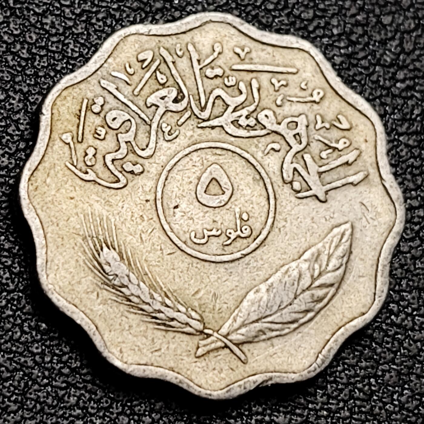 泉币菌-第182场- 精品福利场 。