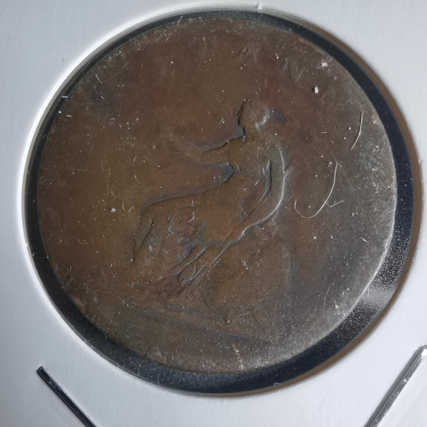 沼泽如烟--第988场