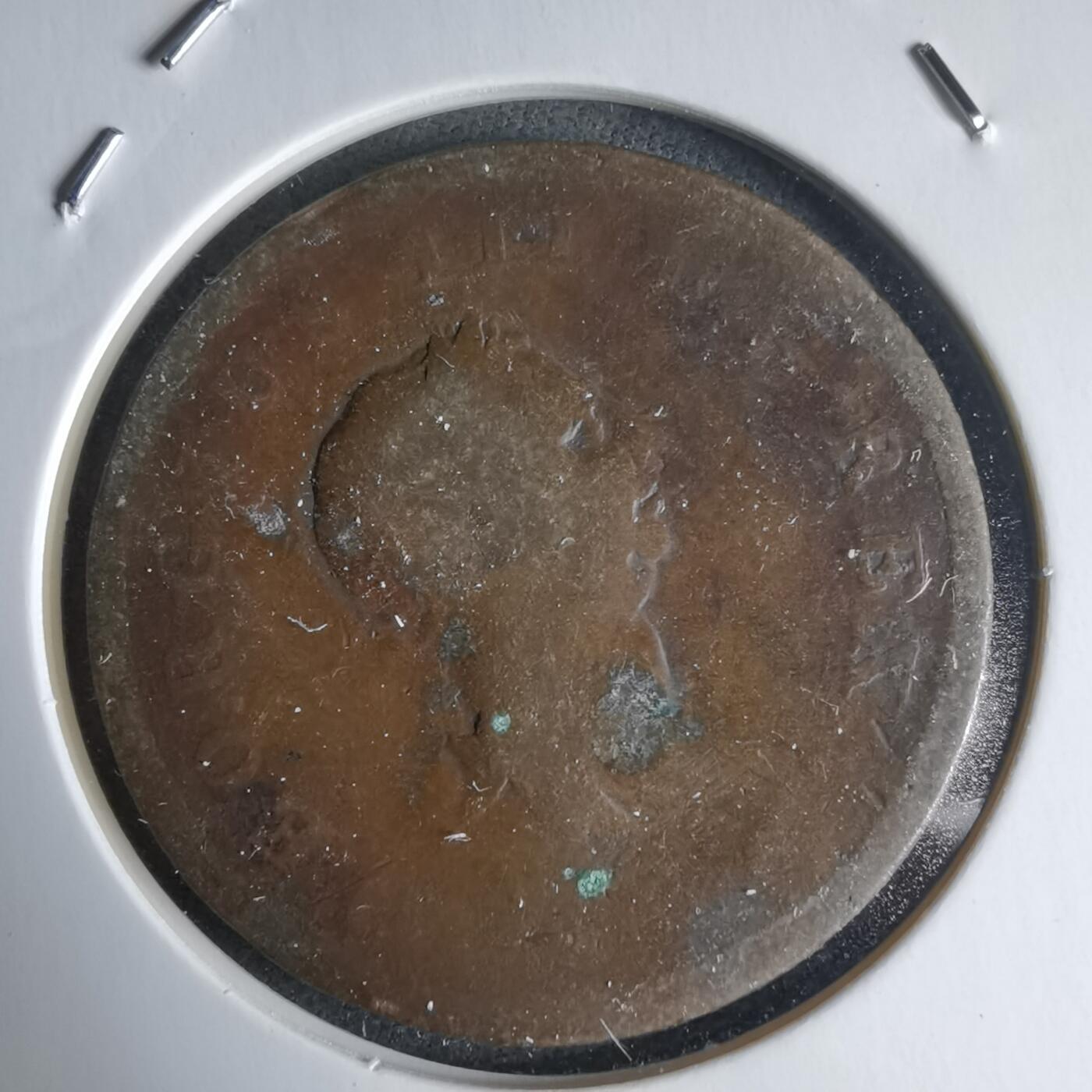 沼泽如烟--第988场