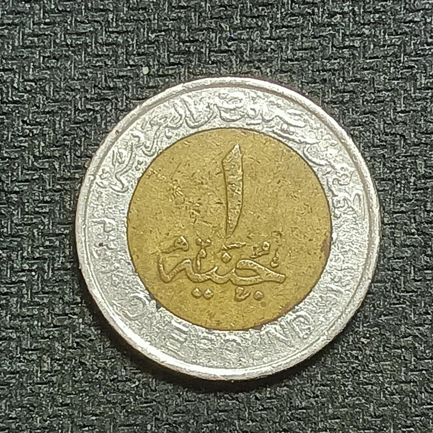 逸泉钱币2026B第十场世界钱币纪念币专场B1231-1615 1241埃及1镑