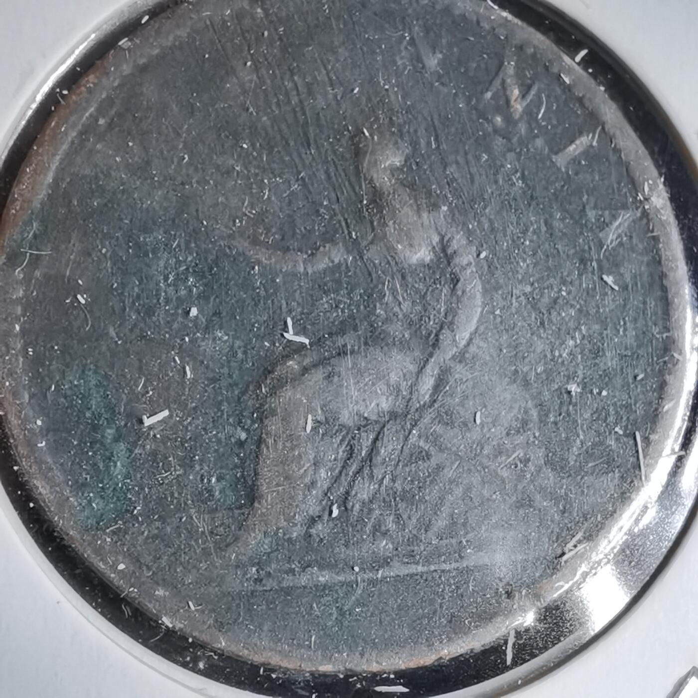 沼泽如烟--第988场