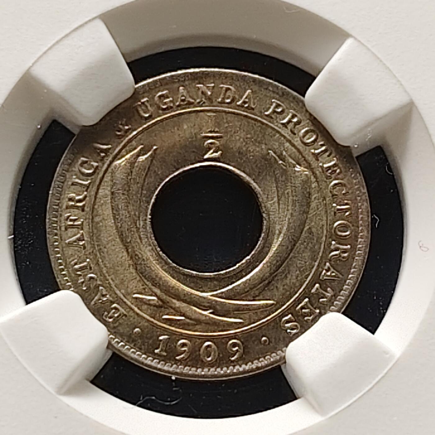 【全场包邮】纯粹捡漏拍501场-持续更新中