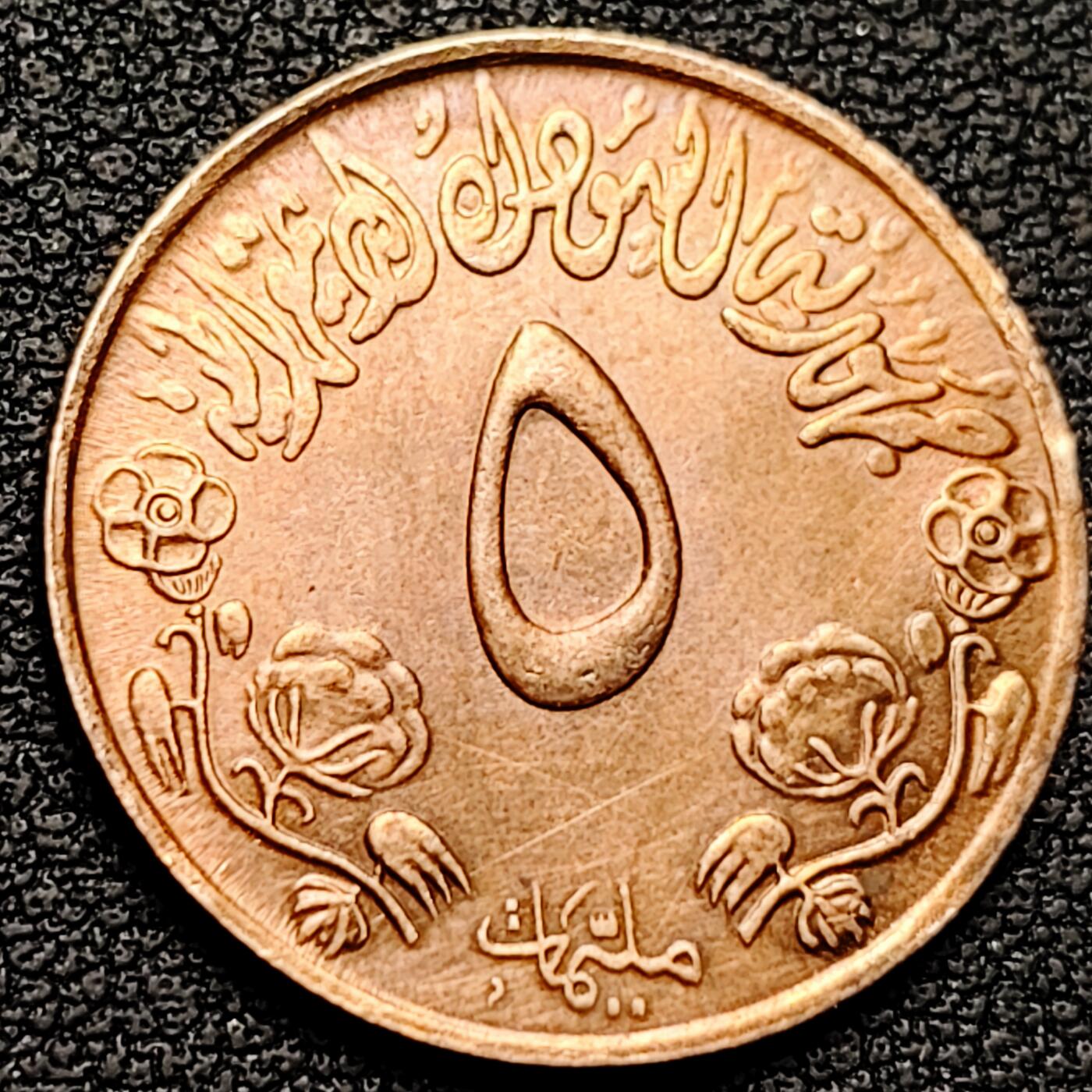 泉币菌-第182场- 精品福利场 。