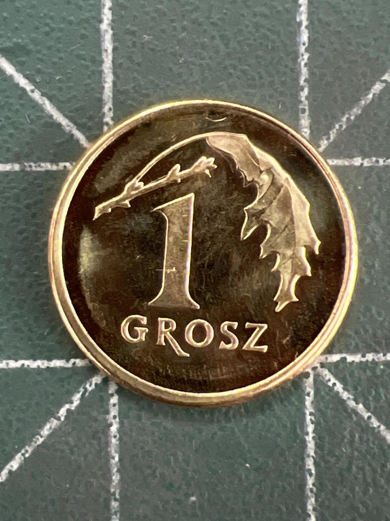 第1116  硬币专场 （无押金，捡漏，全场50包邮，偏远地区除外，接收代拍业务，本店十天发一次货） 波兰 1 兹罗提