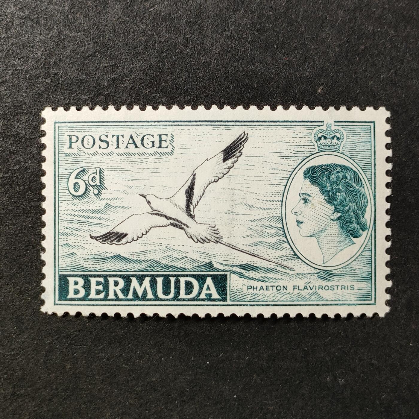 ↓君缘收藏735期☞钱币邮品↓无佣金、可寄存、满30元包邮  英属百慕大邮票，1953年伊丽莎白二世女王·白尾热带鸟邮票
