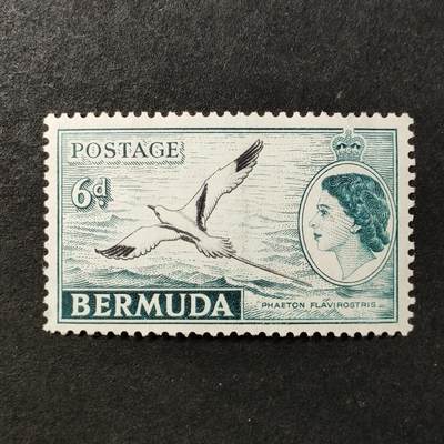 ↓君缘收藏735期☞钱币邮品↓无佣金、可寄存、满30元包邮  - 英属百慕大邮票，1953年伊丽莎白二世女王·白尾热带鸟邮票