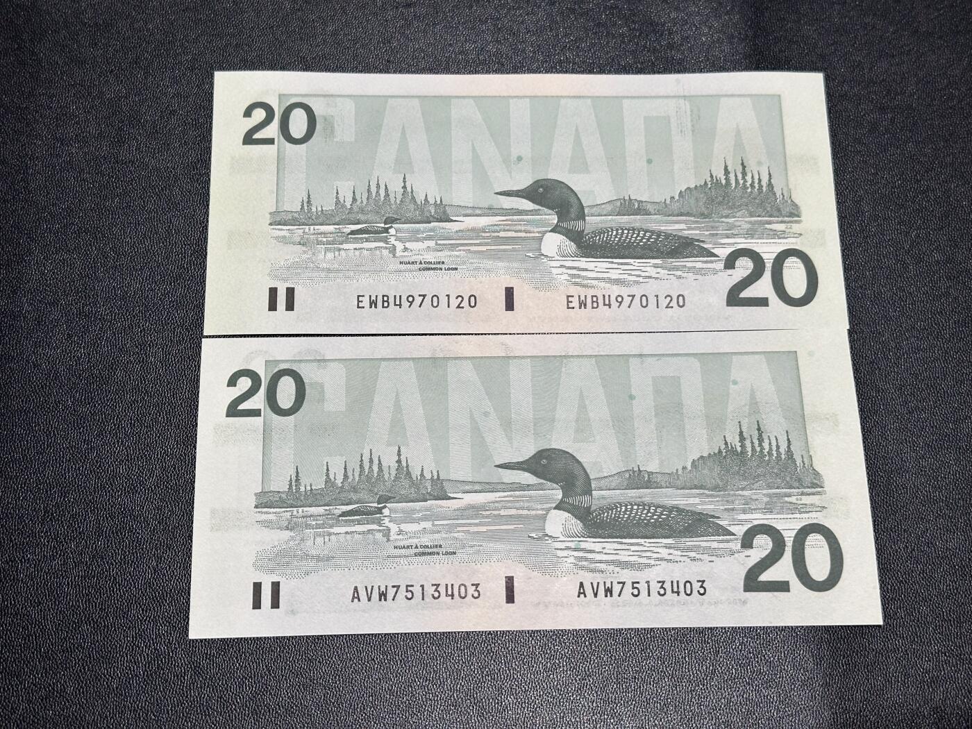 《外钞收藏家》第六百零九期（农历年前收官场、本期年后快递恢复正常再发货）（本平台长期征集拍品、欢迎藏友们联系合作） 加拿大1991年鸟版20元两张一对（2种不同签名；绝品）