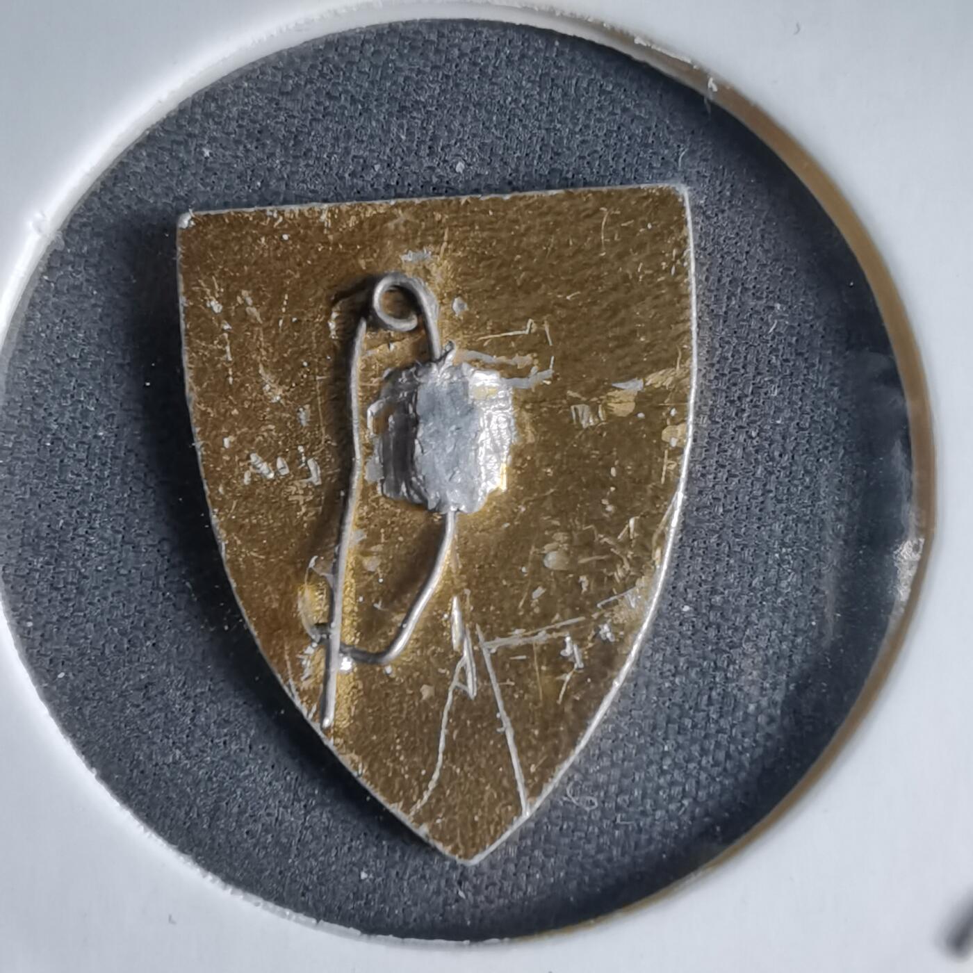 沼泽如烟--第989场 胸章一枚