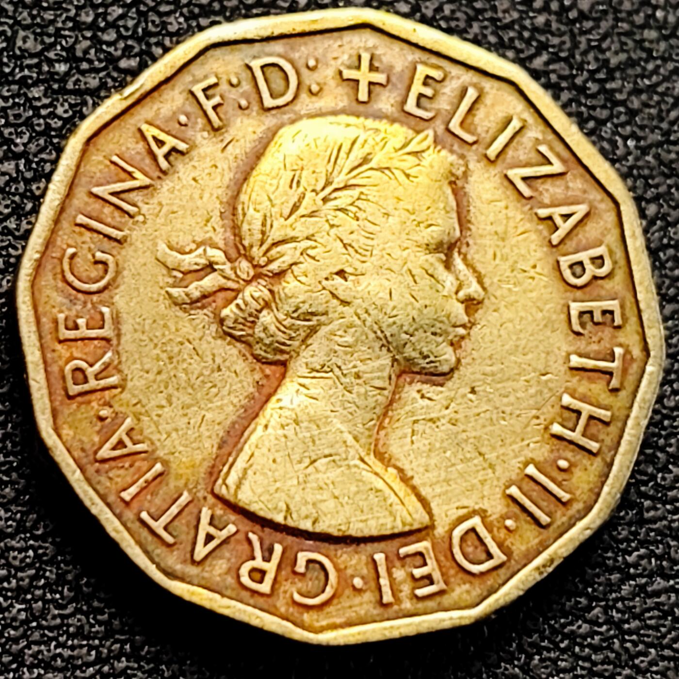 泉币菌-第183场- 精品福利场 。