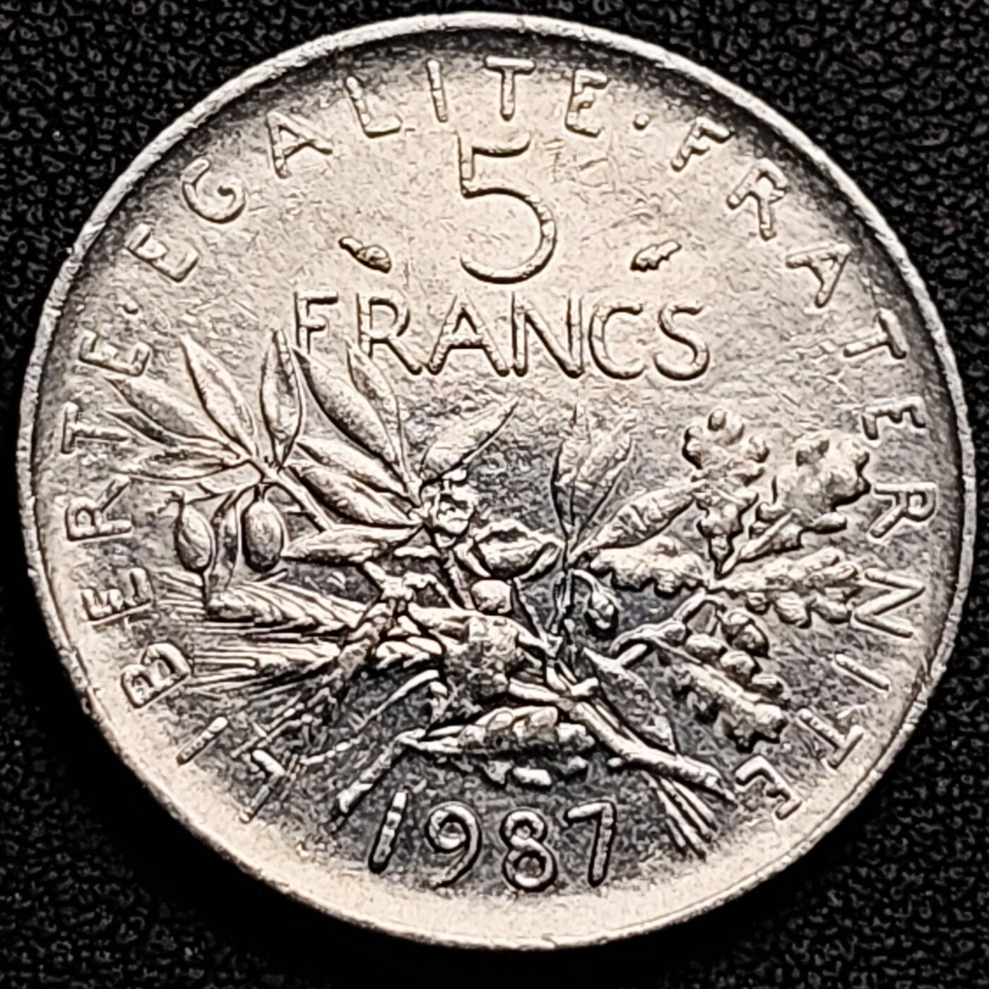 泉币菌-第184场- 精品福利场 。