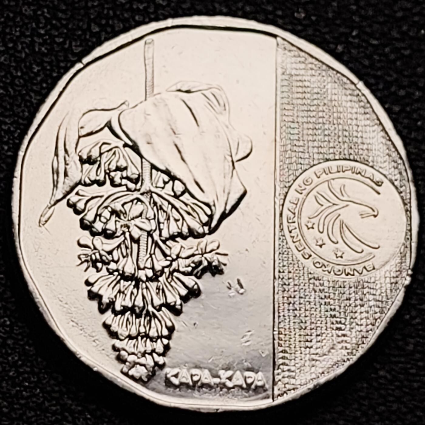 泉币菌-第184场- 精品福利场 。