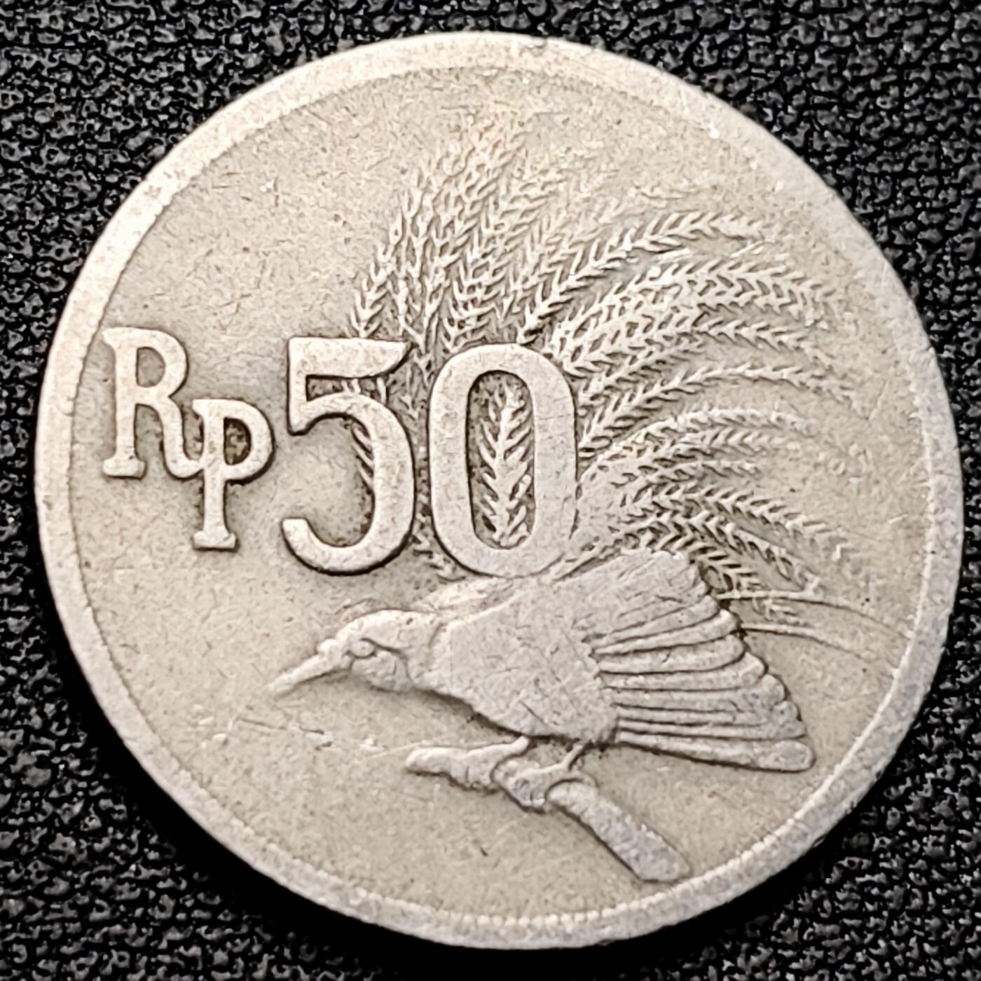 泉币菌-第182场- 精品福利场 。