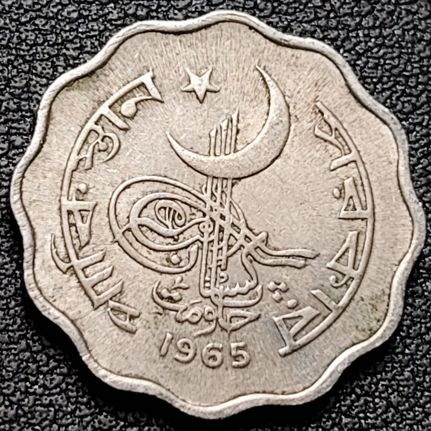 泉币菌-第184场- 精品福利场 。