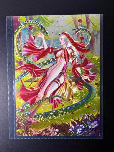 NO.24 好又多金牌大场，年前最后一期，全场中拍有礼！每周一站式配齐，方便凑单！（周6晚9点截拍，卖家送拍0抽成！ - 百里卡牌 荡寇志第三弹 千洲 生肖蛇 A4粗闪大卡