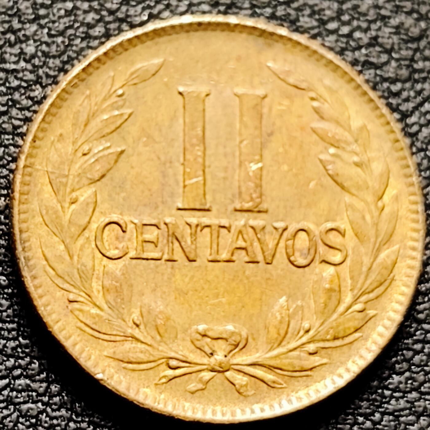 泉币菌-第182场- 精品福利场 。