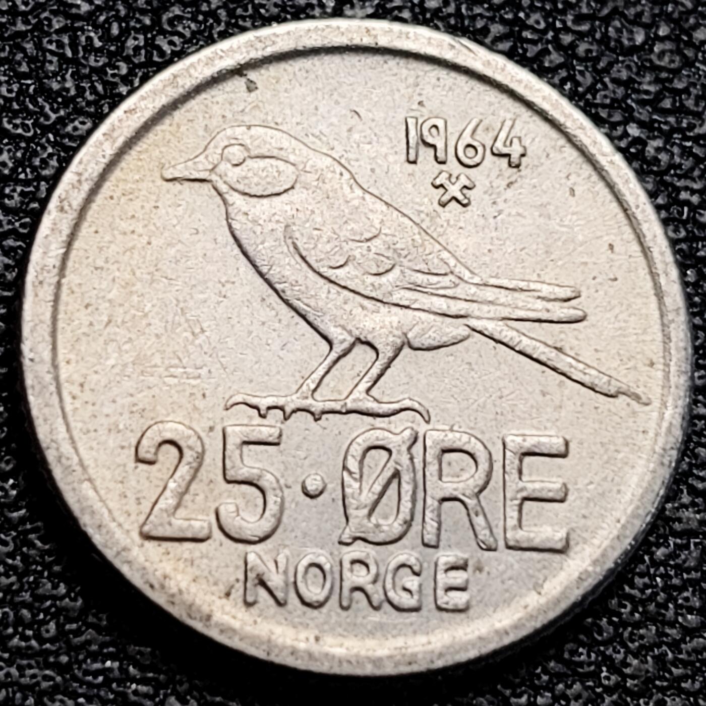 泉币菌-第183场- 精品福利场 。