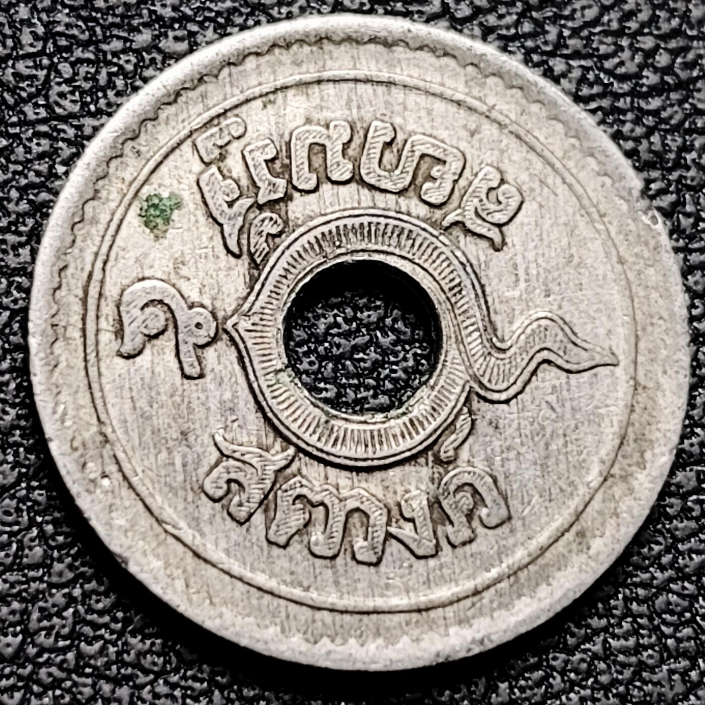 泉币菌-第185场- 精品福利场 。