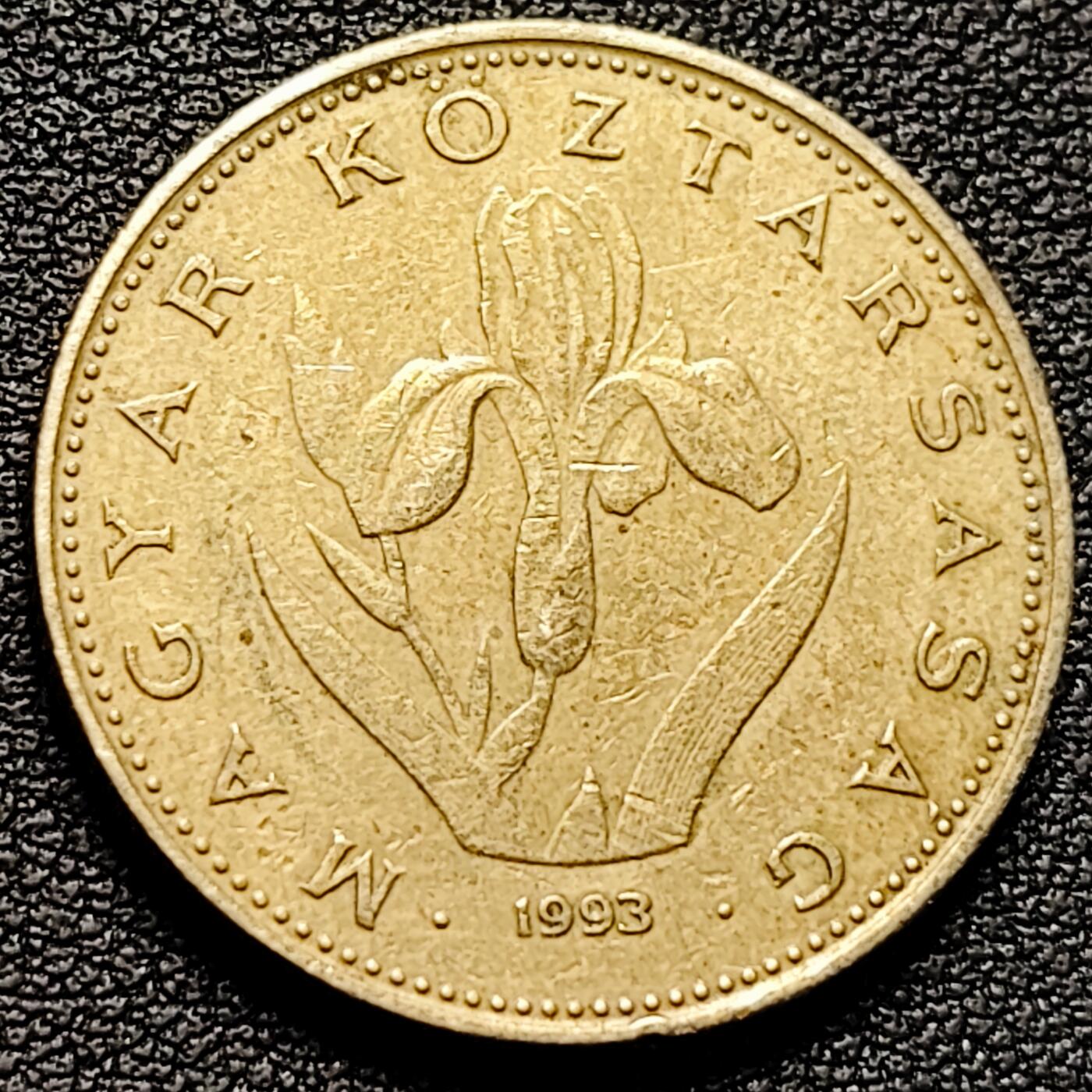 泉币菌-第185场- 精品福利场 。