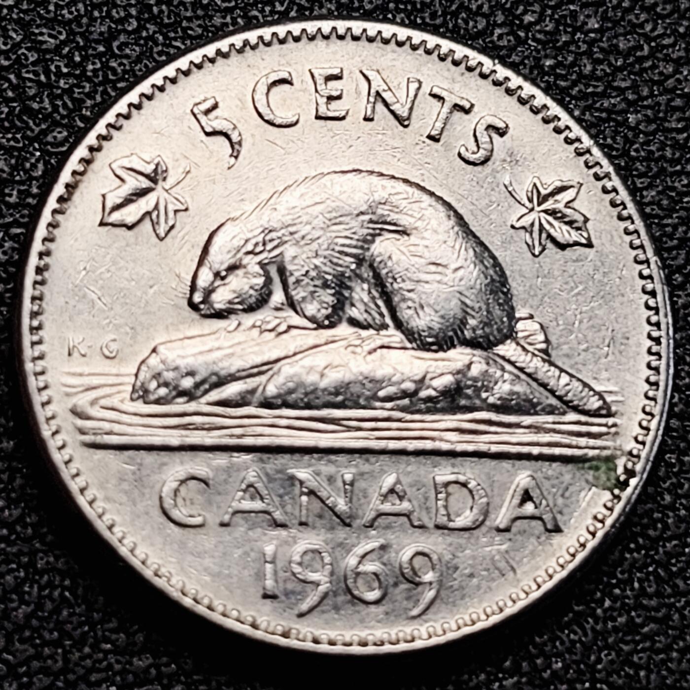 泉币菌-第183场- 精品福利场 。