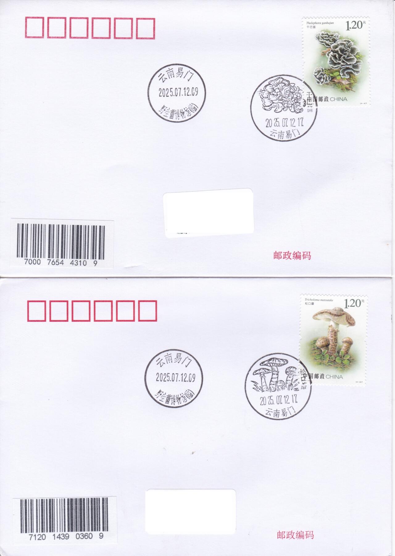 02月19日（周四）20:00 中国大陆2025年首日实寄封 2025中国大陆《食用菌（二）》一票一封 加盖对应风景戳 云南野生菌博物馆原地首日平寄国内 一套4枚